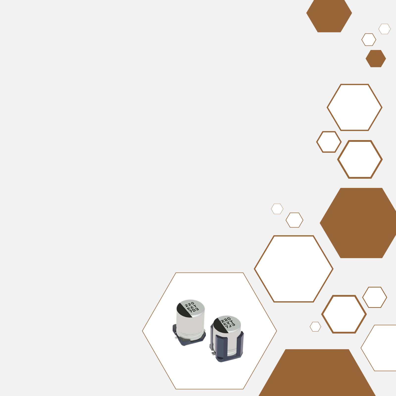 EEH-ZT Series Capacitors