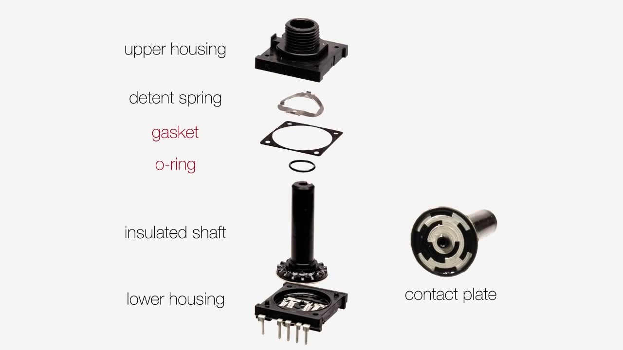 BM6br_7qMOE.jpg?VersionId=